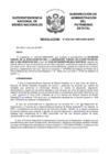 Vista preliminar de documento Resolución N° 0592-2021/SBN-DGPE-SDAPE