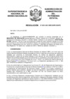 Vista preliminar de documento Resolución N° 0591-2021/SBN-DGPE-SDAPE