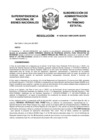 Vista preliminar de documento Resolución N° 0599-2021/SBN-DGPE-SDAPE
