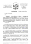 Vista preliminar de documento Resolución N° 0597-2021/SBN-DGPE-SDAPE