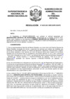 Vista preliminar de documento Resolución N° 0625-2021/SBN-DGPE-SDAPE