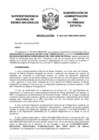 Vista preliminar de documento Resolución N° 0637-2021/SBN-DGPE-SDAPE