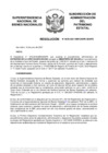 Vista preliminar de documento Resolución N° 0635-2021/SBN-DGPE-SDAPE