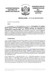 Vista preliminar de documento Resolución N° 0721-2021/SBN-DGPE-SDAPE