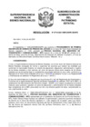 Vista preliminar de documento Resolución N° 0719-2021/SBN-DGPE-SDAPE