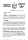 Vista preliminar de documento Resolución N° 0725-2021/SBN-DGPE-SDAPE