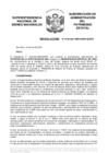 Vista preliminar de documento Resolución N° 0730-2021/SBN-DGPE-SDAPE