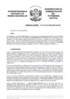 Vista preliminar de documento Resolución N° 0744-2021/SBN-DGPE-SDAPE
