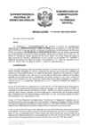 Vista preliminar de documento Resolución N° 0752-2021/SBN-DGPE-SDAPE