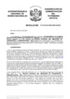 Vista preliminar de documento Resolución N° 0779-2021/SBN-DGPE-SDAPE