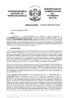 Vista preliminar de documento Resolución N° 0793-2021/SBN-DGPE-SDAPE