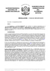 Vista preliminar de documento Resolución N° 0862-2021/SBN-DGPE-SDAPE