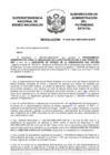 Vista preliminar de documento Resolución N° 0933-2021/SBN-DGPE-SDAPE