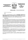 Vista preliminar de documento Resolución N° 0954-2021/SBN-DGPE-SDAPE