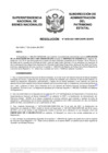 Vista preliminar de documento Resolución N° 0959-2021/SBN-DGPE-SDAPE
