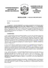 Vista preliminar de documento Resolución N° 0963-2021/SBN-DGPE-SDAPE