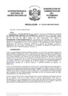 Vista preliminar de documento Resolución N° 1102-2021/SBN-DGPE-SDAPE