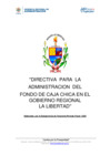 Vista preliminar de documento DIRECTIVA CAJA CHICA 2022.pdf