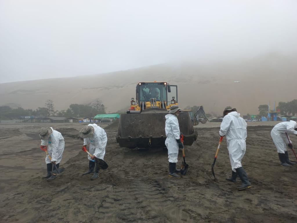 Miembros de las Fuerzas Armadas continúan apoyando en la limpieza en playas contaminadas con petróleo.