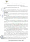 Vista preliminar de documento Resolución de Alcaldía