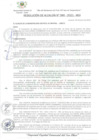 Vista preliminar de documento Resolución de Alcaldía
