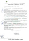 Vista preliminar de documento Resolución de Alcaldía