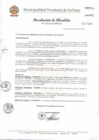 Vista preliminar de documento N° 100-2014.pdf