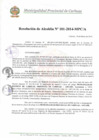 Vista preliminar de documento N° 101-A-2014.pdf