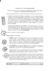 Vista preliminar de documento 2016