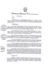 Vista preliminar de documento Resolución Directoral