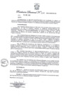 Vista preliminar de documento Resolución Directoral