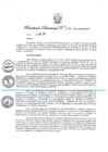 Vista preliminar de documento Resolución Directoral