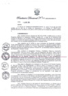 Vista preliminar de documento Resolución Directoral