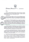 Vista preliminar de documento Resolución Directoral