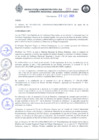 Vista preliminar de documento RAA_013_2020.pdf.pdf
