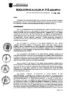 Vista preliminar de documento Resolucion_2022_040.pdf