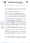 Vista preliminar de documento RAA_017_2020.pdf.pdf
