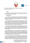 Vista preliminar de documento Resolución Gerencia General N° 016-2021-BNP-GG
