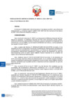 Vista preliminar de documento Resolución Gerencia General N° 013-2021-BNP-GG