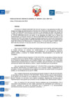 Vista preliminar de documento Resolución Gerencia General N° 004-2021-BNP-GG