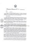 Vista preliminar de documento Resolución Directoral