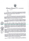 Vista preliminar de documento Resolución Directoral
