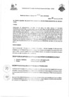 Vista preliminar de documento Resolucion de Gerencia General 