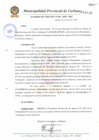 Vista preliminar de documento ACN° 01-2010.pdf