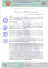 Vista preliminar de documento Resolución de Alcaldia N°205-2021-MPVH A.pdf