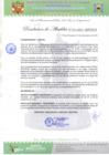 Vista preliminar de documento Resolución de Alcaldia N°213-2021-MPVH A.pdf