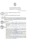 Vista preliminar de documento Ordenanza municipal