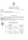 Vista preliminar de documento Ordenanza municipal