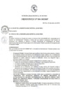 Vista preliminar de documento Ordenanza municipal