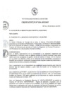 Vista preliminar de documento Ordenanza municipal